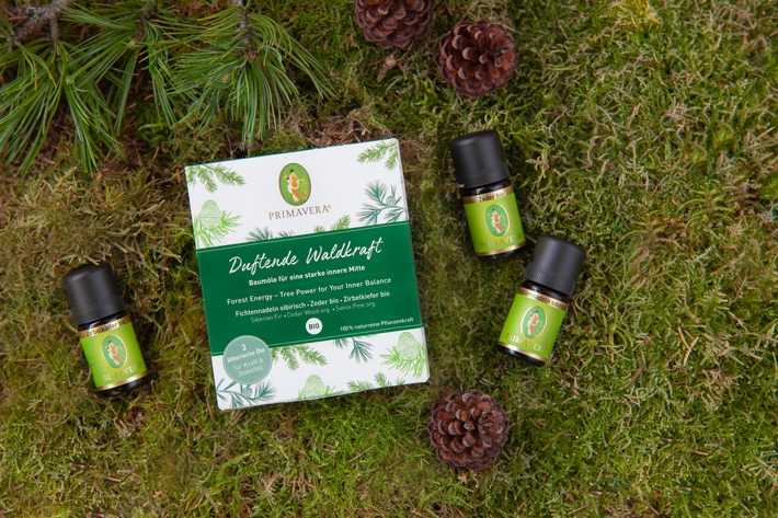 Ätherische Baumöle wie Fichtennadel, Zeder und Zirbelkiefer laden zum heimischen