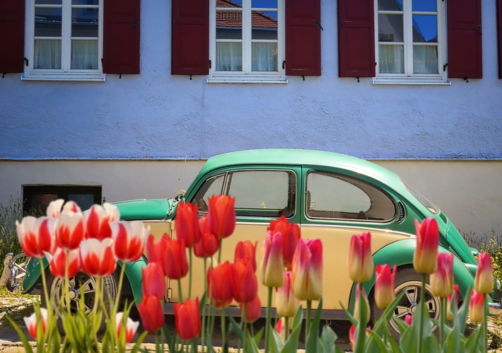 Erfolgreich arbeiten mit den Niederlanden: Mit den richtigen Tipps eine gute Kombination / 29. Mai 2020 - Tag der Nachbarschaft: Käse, Küste, Grachten / Erfolgreich arbeiten mit den Niederlanden / Weiterer Text über ots und www.presseportal.de/nr/105906 / Die Verwendung dieses Bildes ist für redaktionelle Zwecke honorarfrei. Veröffentlichung bitte unter Quellenangabe: