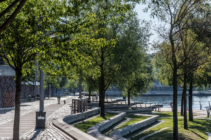 Ein gutes Stadtklima benötigt ein wesentliches breiteres Sortiment an Zukunftsbäumen, Foto: ENA/BdB/Graf Luckner
Gehölzforschung, Klima, Nachhaltigkeit, Stadt der Zukunft Weiterer Text über ots und www.presseportal.de/nr/126784 / Die Verwendung dieses Bildes ist für redaktionelle Zwecke honorarfrei. Veröffentlichung bitte unter Quellenangabe: