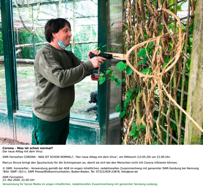 SWR Fernsehen CORONA - WAS IST SCHON NORMAL?,