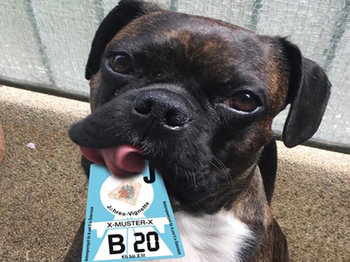 Wenn der Hund die Vignette tatsächlich frisst, muss trotzdem ein Ersatz-Pickerl gekauft werden: Was Autofahrer jetzt beachten müssen / 2019 wurden 79.000 Mautsünder erwischt - die Top-Ten Ausreden / Ersatzmaut kostet 120 Euro. Weiterer Text über ots und www.presseportal.de/nr/122834 / Die Verwendung dieses Bildes ist für redaktionelle Zwecke honorarfrei. Veröffentlichung bitte unter Quellenangabe: