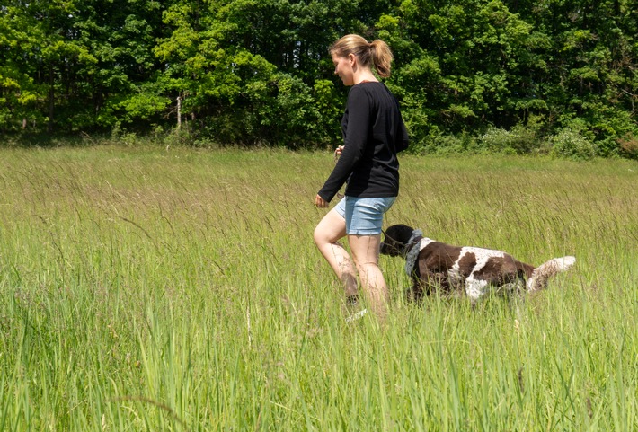 An Waldrändern, im hohen Gras, in Gebüschen und im lichten Unterholz fühlen sich Zecken besonders wohl. Alle, die draußen unterwegs sind, müssen mit Zeckenbissen rechnen. Foto: HUK-COBURG / Zecken: Klein, aber gemein / Wie kann man sich schützen? - Kommt es durch Zeckenbiss zur Dauerschädigung, hilft eine Unfallversicherung / Weiterer Text über ots und www.presseportal.de/nr/7239 / Die Verwendung des Bildes für redaktionelle Zwecke ist honorarfrei, wenn der Abdruck mit korrekter Quellenangabe erfolgt. Quellenangabe: HUK-COBURG