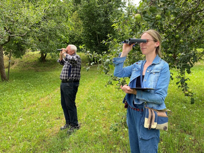 Ernteschätzung mit Augenmaß - Seit 1995 erstellt der Verband über die sogenannte