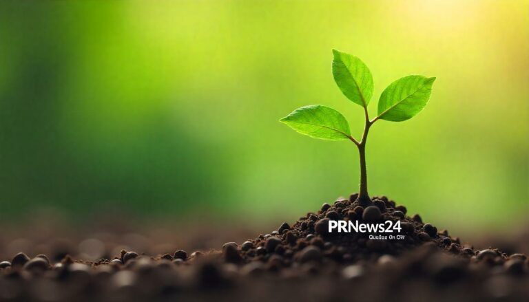 Neuerungen in der B2B-PR: Trends und Strategien für 2024